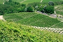 Piemont 2009  216